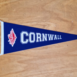 Will Pearson Boomerang Pennant Flag