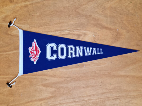 Will Pearson Boomerang Pennant Flag